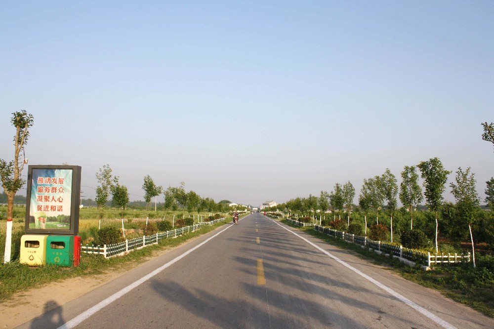 紫蓬镇工业园区道路、绿化、亮化提升工程项目